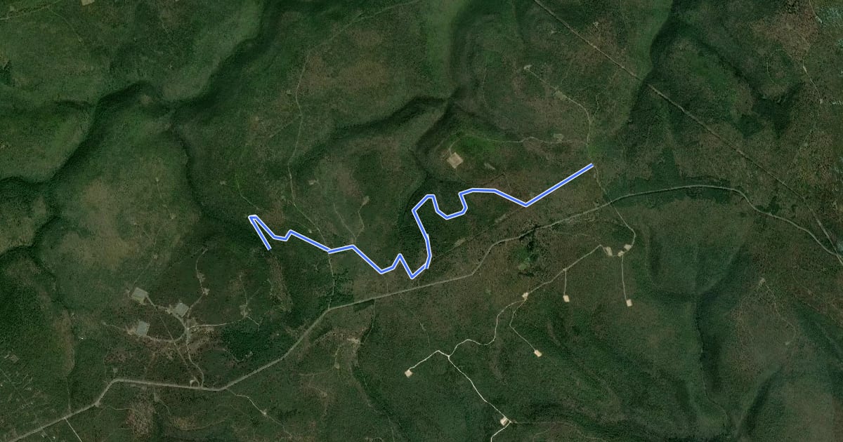 Маршрут Eagleton Mine Camp Trail north на спутниковом снимке
