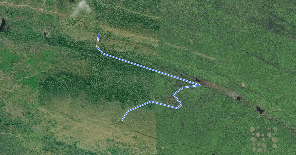 Маршрут East Bluff Driveway на спутниковом снимке