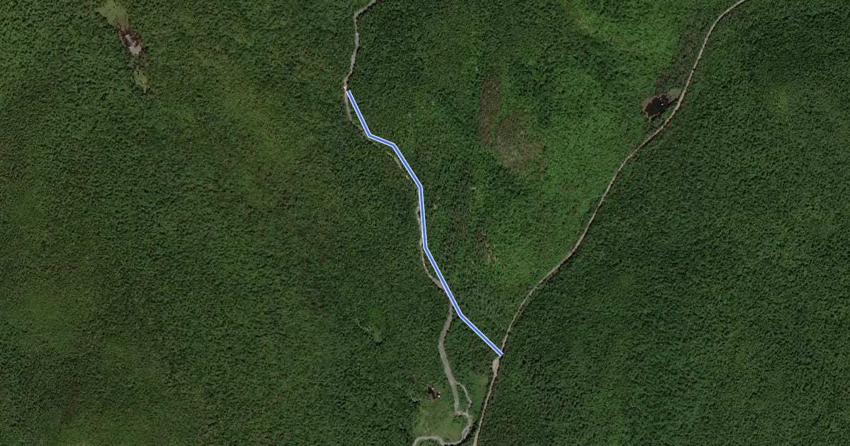 Маршрут East Branch Gorge Trail на спутниковом снимке