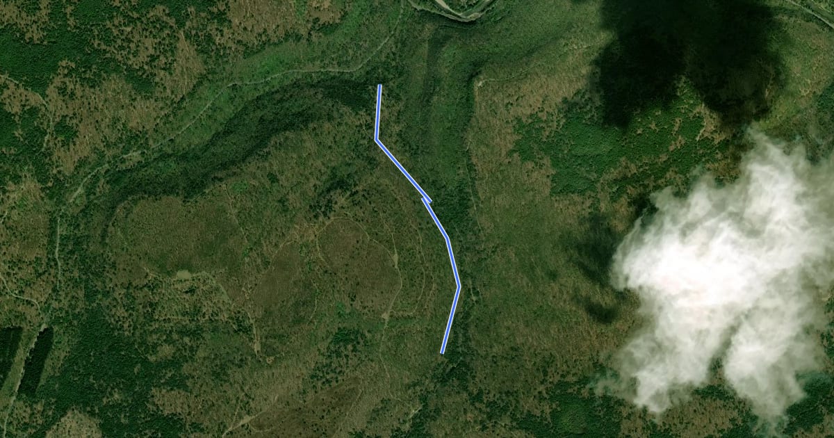 Маршрут East Branch Trail на спутниковом снимке
