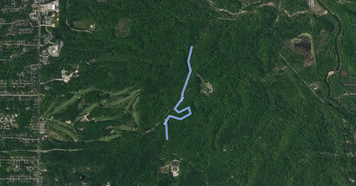 Маршрут East Bridle Path на спутниковом снимке