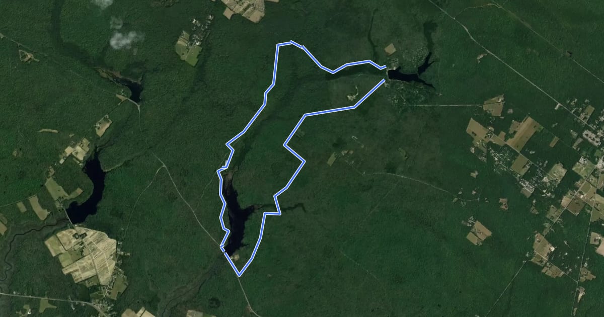 Маршрут East Creek Loop на спутниковом снимке