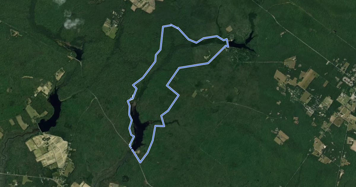 Маршрут East Creek Trail на спутниковом снимке