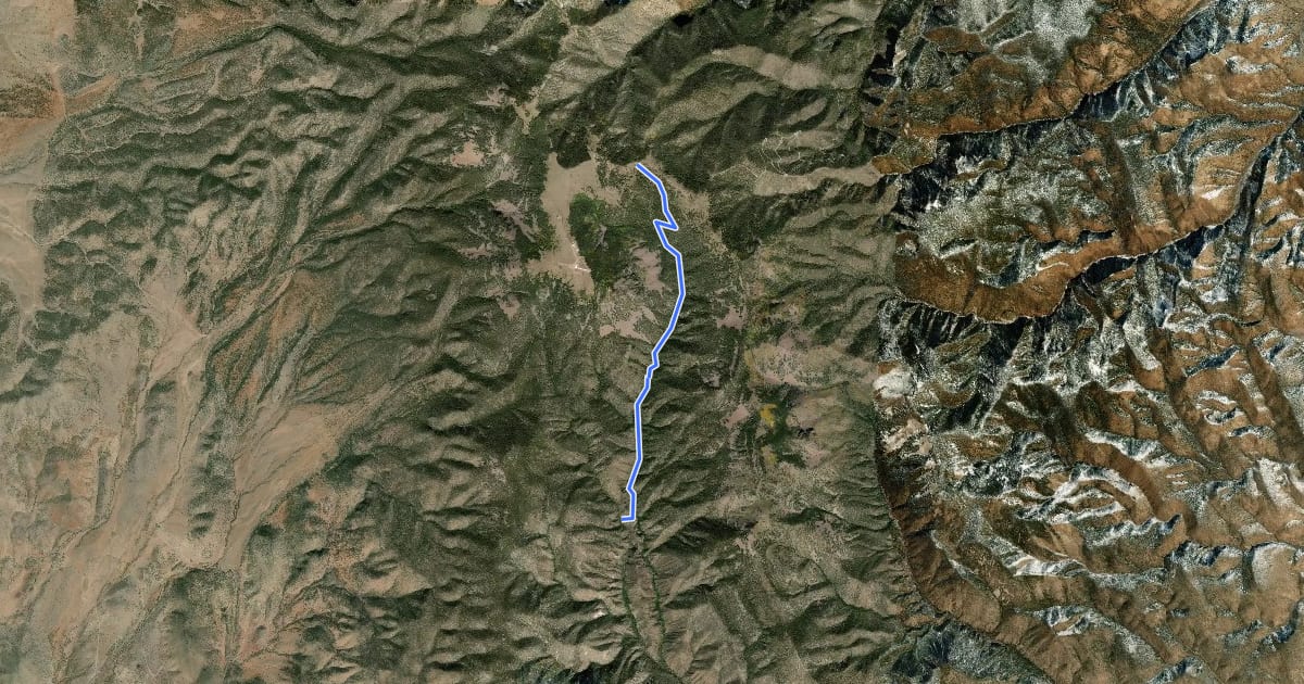Маршрут East Fork Sawmill Trail на спутниковом снимке