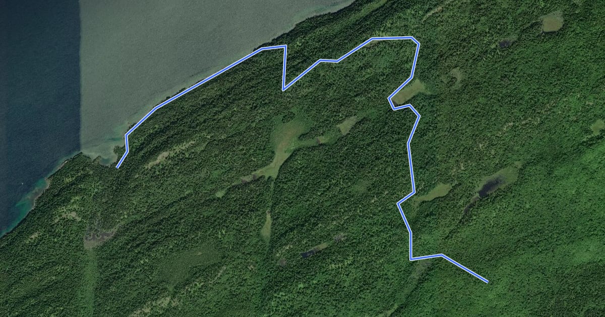 Маршрут East Huginnin Cove Trail на спутниковом снимке