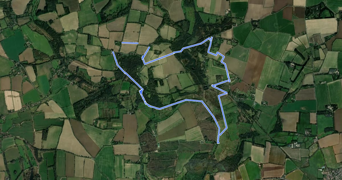 Маршрут East Ruston Circular Walk на спутниковом снимке