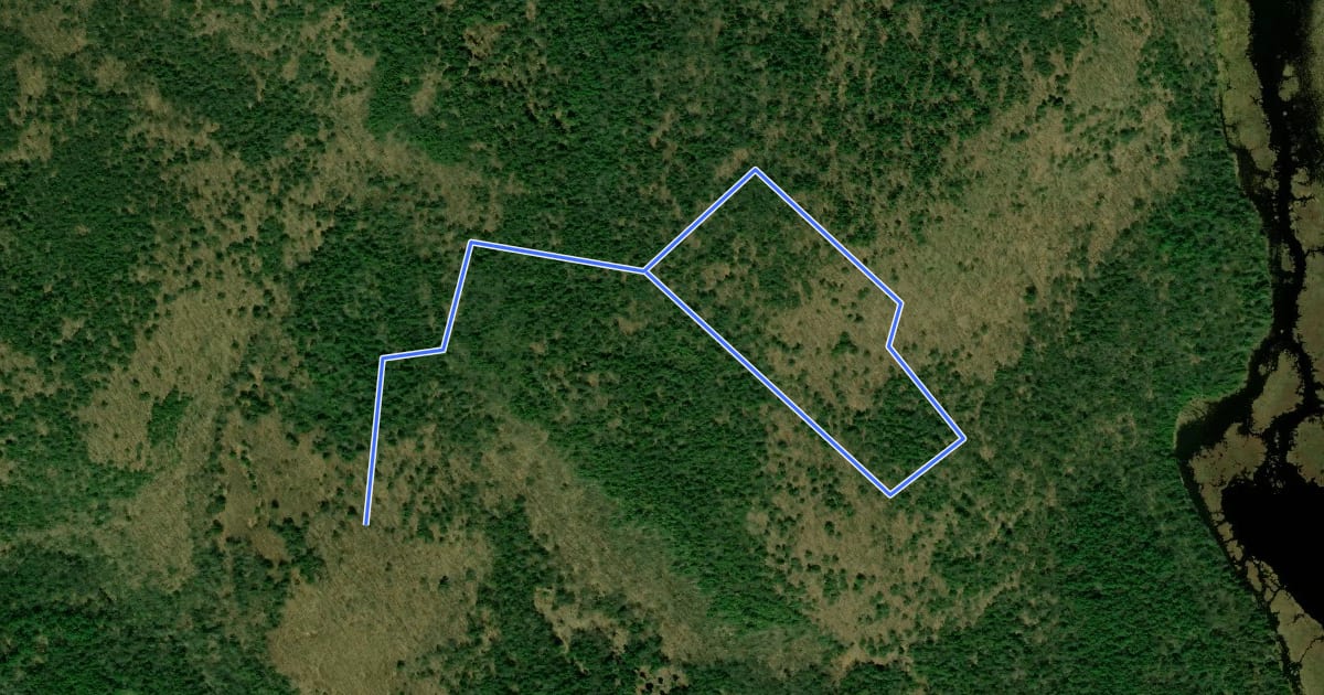 Маршрут East Summit Trail на спутниковом снимке