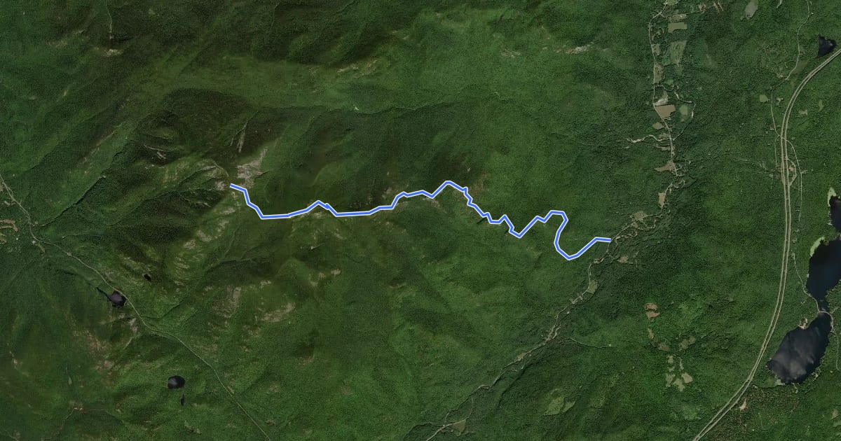 Маршрут East Trail на спутниковом снимке