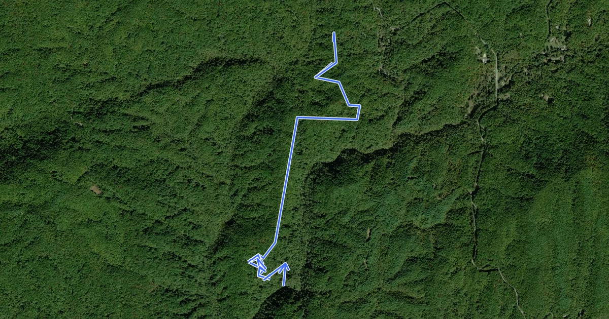 Маршрут Eastatoe Gorge Spur Trail на спутниковом снимке