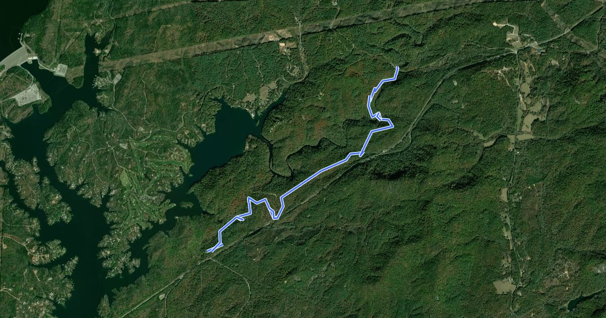 Маршрут Eastatoe Passage of the Palmetto Trail на спутниковом снимке