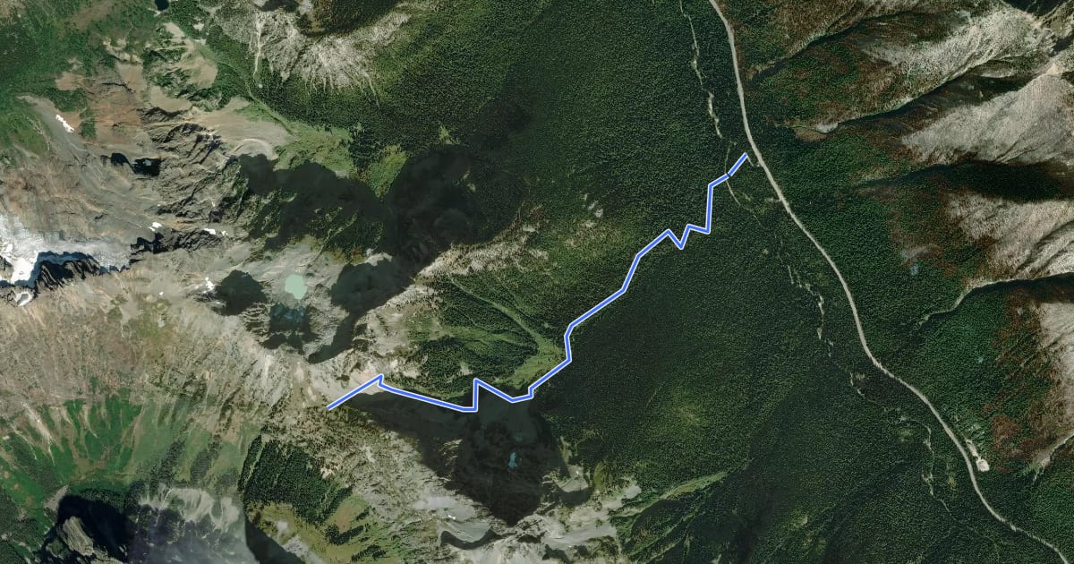 Маршрут Easy Pass Trail на спутниковом снимке