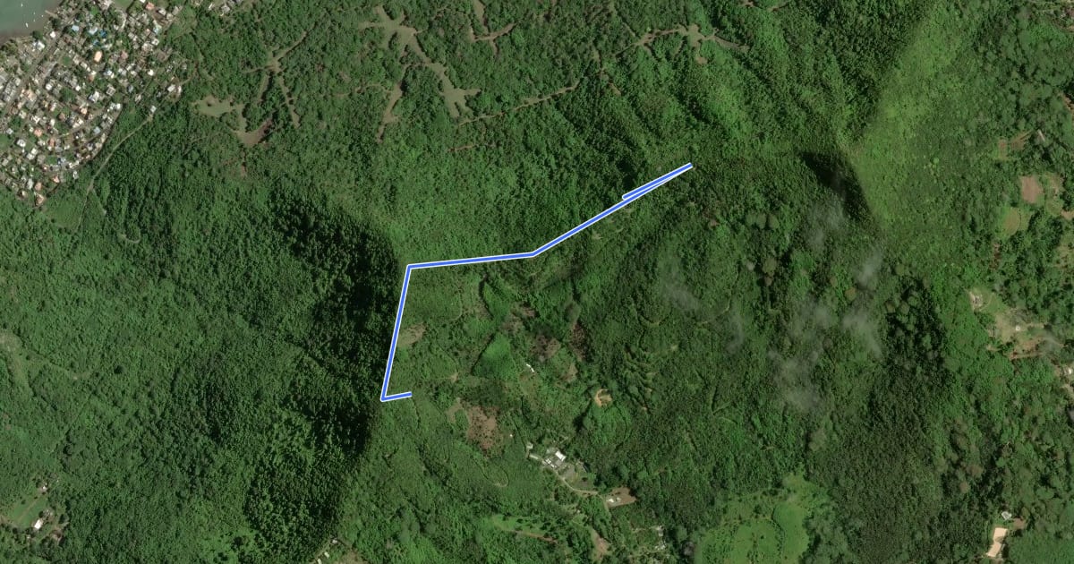 Маршрут Ebony Forest, Ridgeline trail на спутниковом снимке