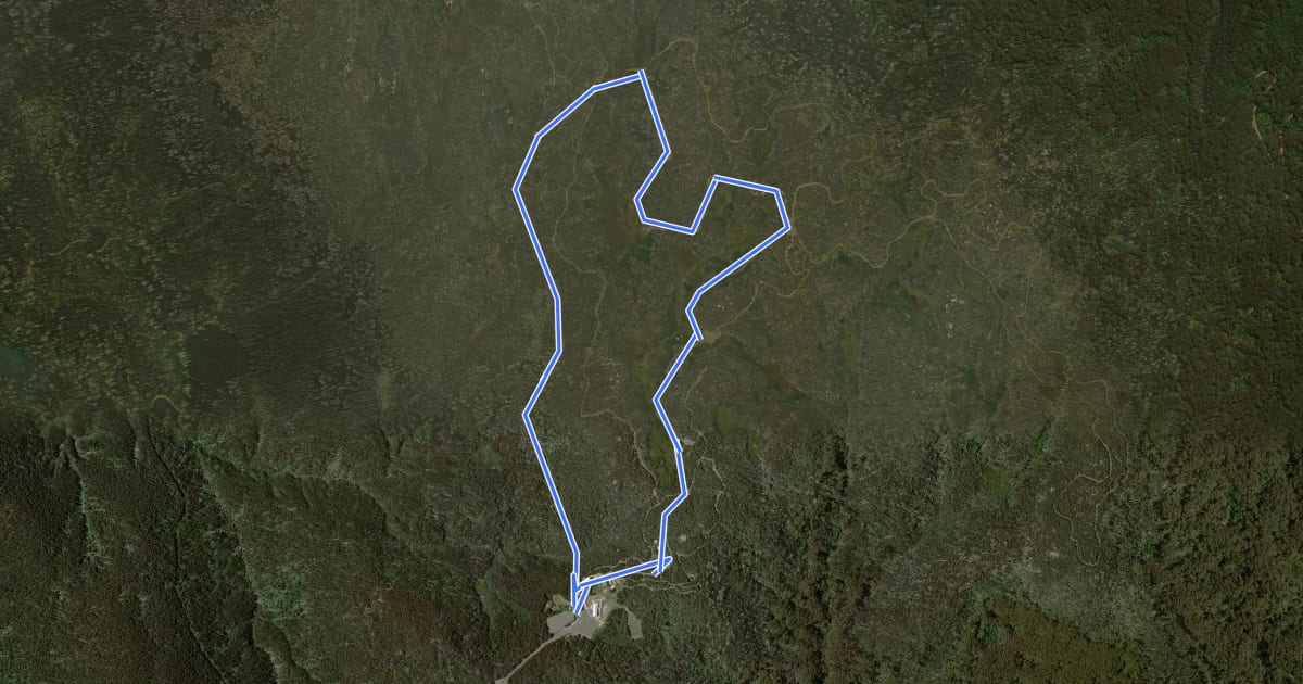 Маршрут Echo Flat Ski Trail на спутниковом снимке