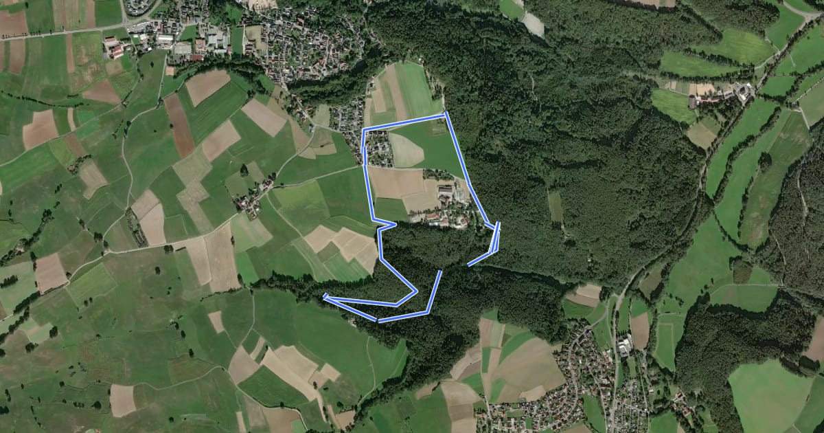 Маршрут Eckersdorf Rundwanderweg Arzloch на спутниковом снимке
