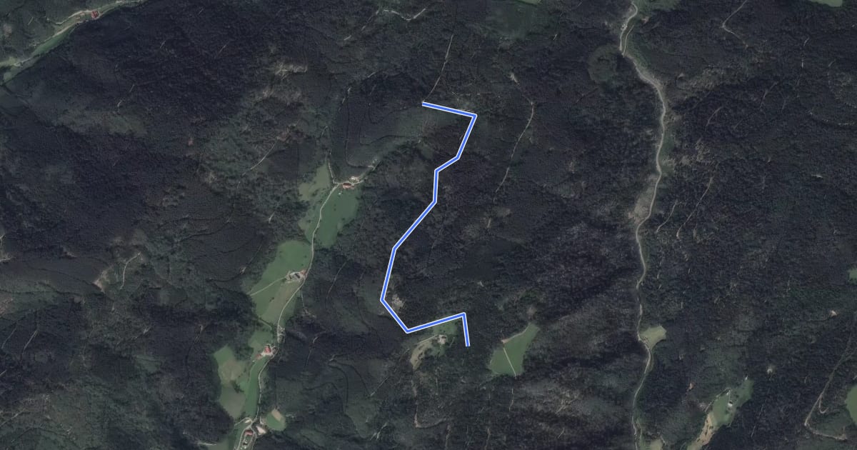 Маршрут Eckle - Hohbergweg на спутниковом снимке