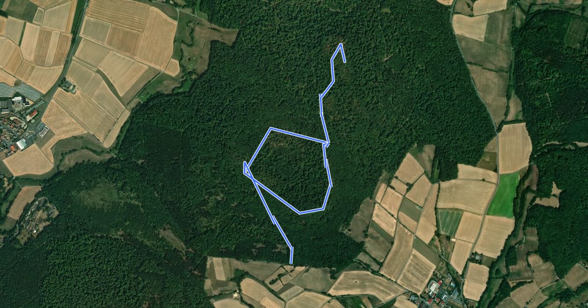 Маршрут Eco Pfad Archäologie Altenburg und Falkenstein на спутниковом снимке
