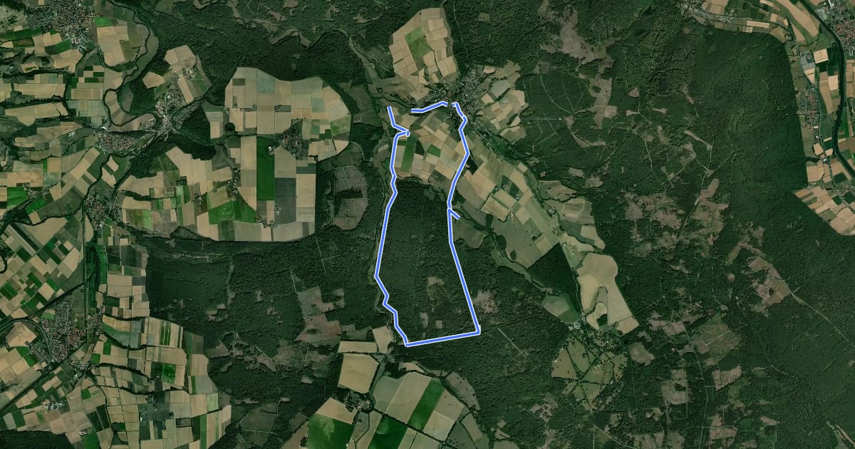 Маршрут Eco Pfad Pilgerwege Gottsbüren 5 "Hofgeismarer Weg" на спутниковом снимке