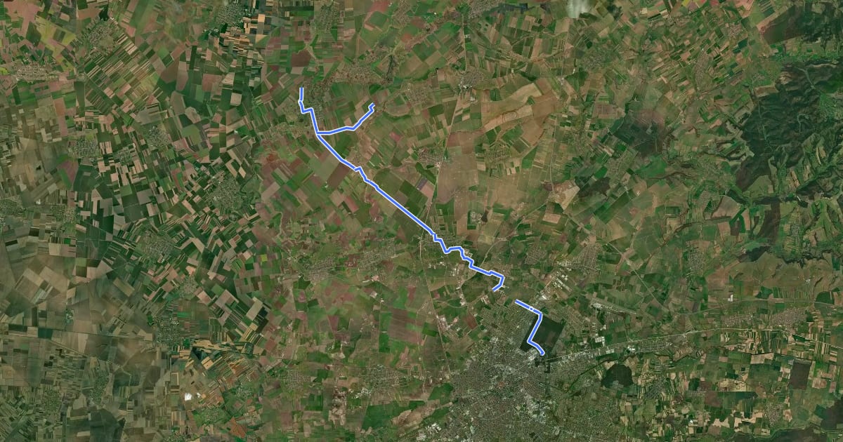 Маршрут Eco Timiș Traseu 1 Rezervația Satchinez на спутниковом снимке