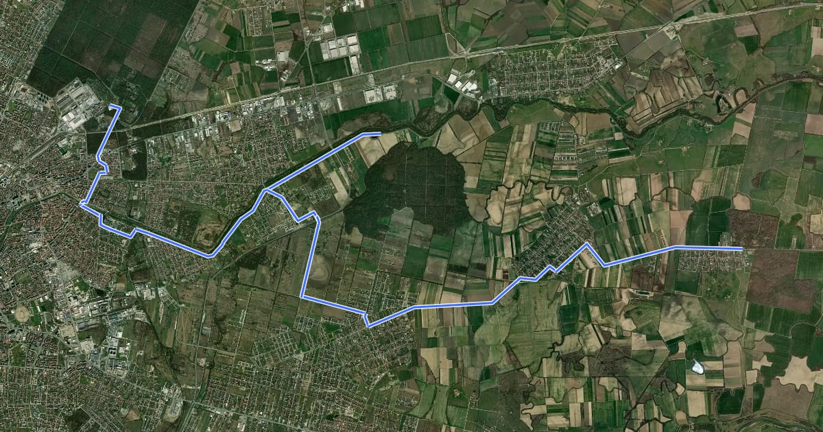 Маршрут Eco Timiș Traseu 4 Parcul Dendrologic Bazoșul Nou на спутниковом снимке