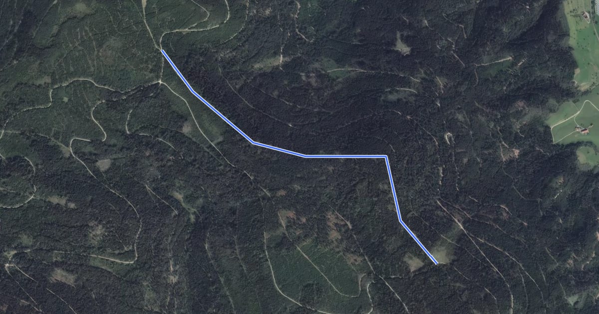 Маршрут Edelmannskopf - Ibacher Holzplatz на спутниковом снимке
