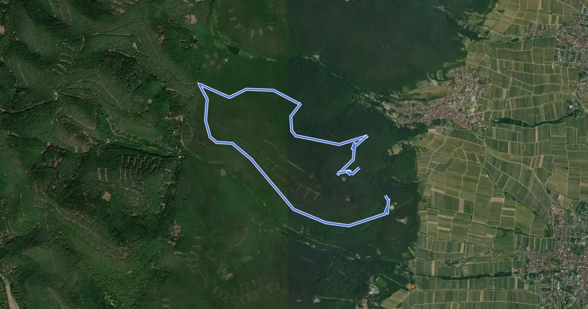 Маршрут Edenkoben Naturpark Pfälzerwald 1 на спутниковом снимке