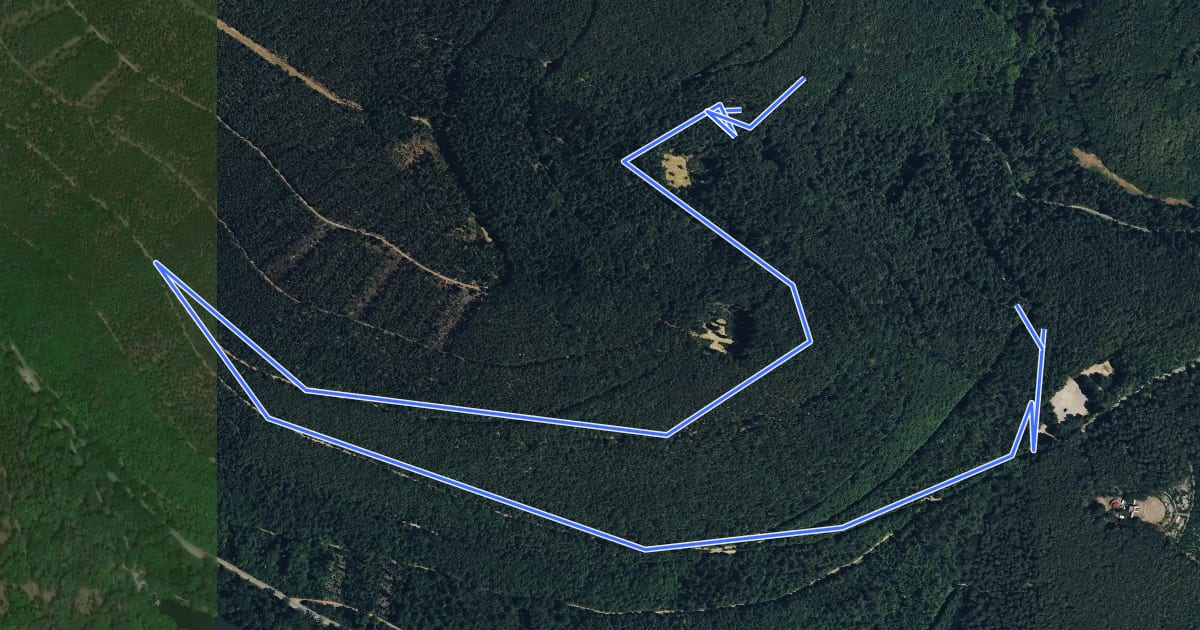 Маршрут Edenkoben Naturpark Pfälzerwald 2 на спутниковом снимке