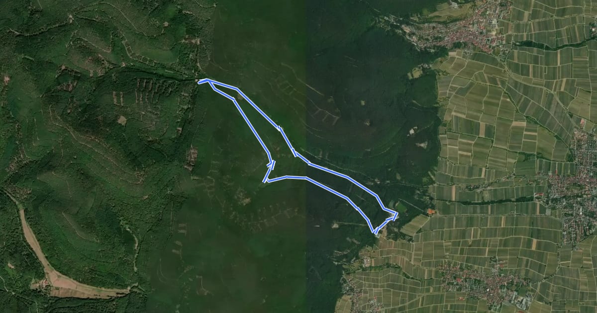 Маршрут Edenkoben Naturpark Pfälzerwald 3 на спутниковом снимке
