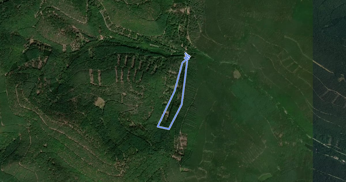 Маршрут Edenkoben Naturpark Pfälzerwald 4 на спутниковом снимке
