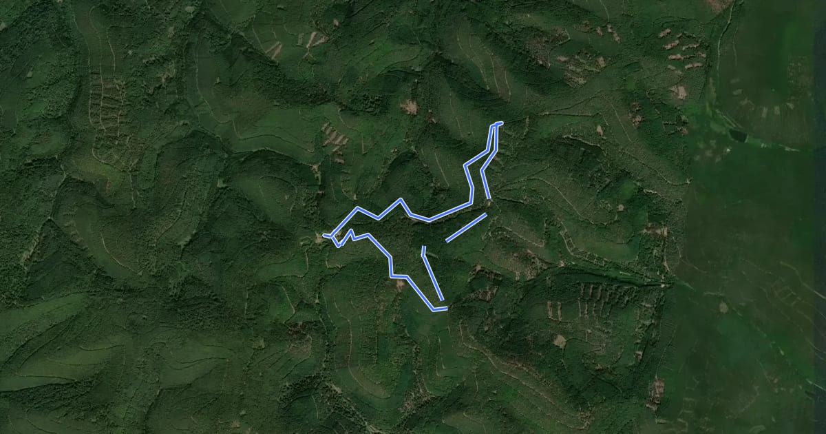 Маршрут Edenkoben Naturparkweg 6 на спутниковом снимке
