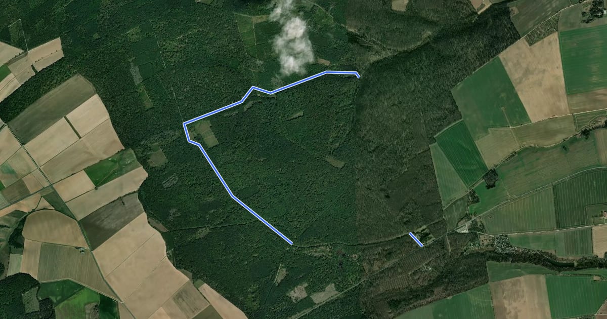 Маршрут Eichörnchenweg на спутниковом снимке