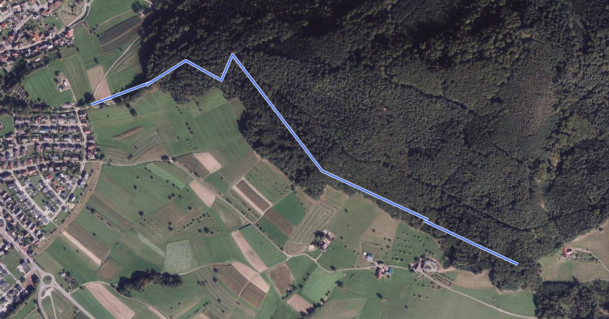 Маршрут Eichberg Matth.-Breig-Pfad - Reichenbach Spielplatz Kapellenweg на спутниковом снимке