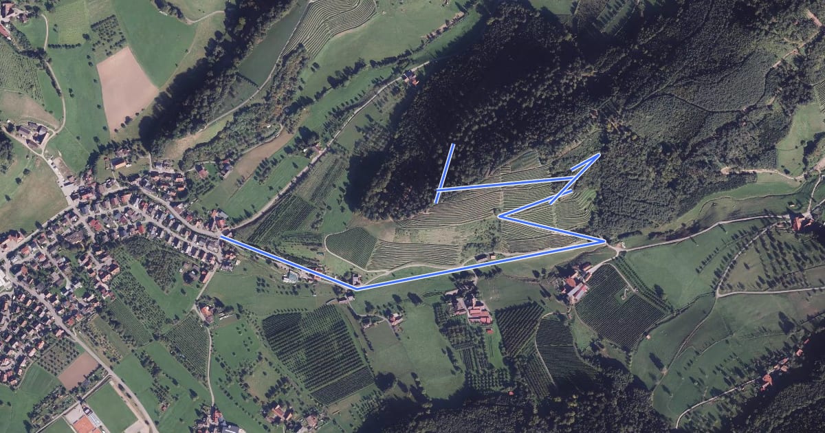 Маршрут Eichberg - Reichenbach Holzplatz на спутниковом снимке