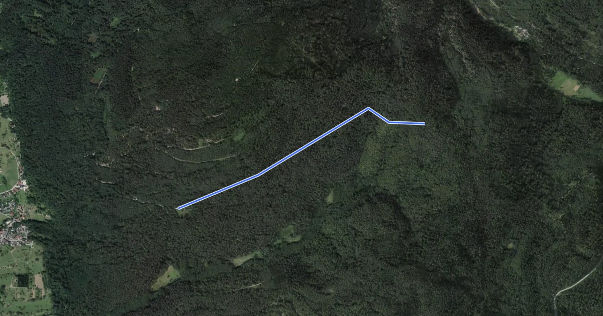 Маршрут Eichelbergweg - Gaisstatthüttenweg на спутниковом снимке