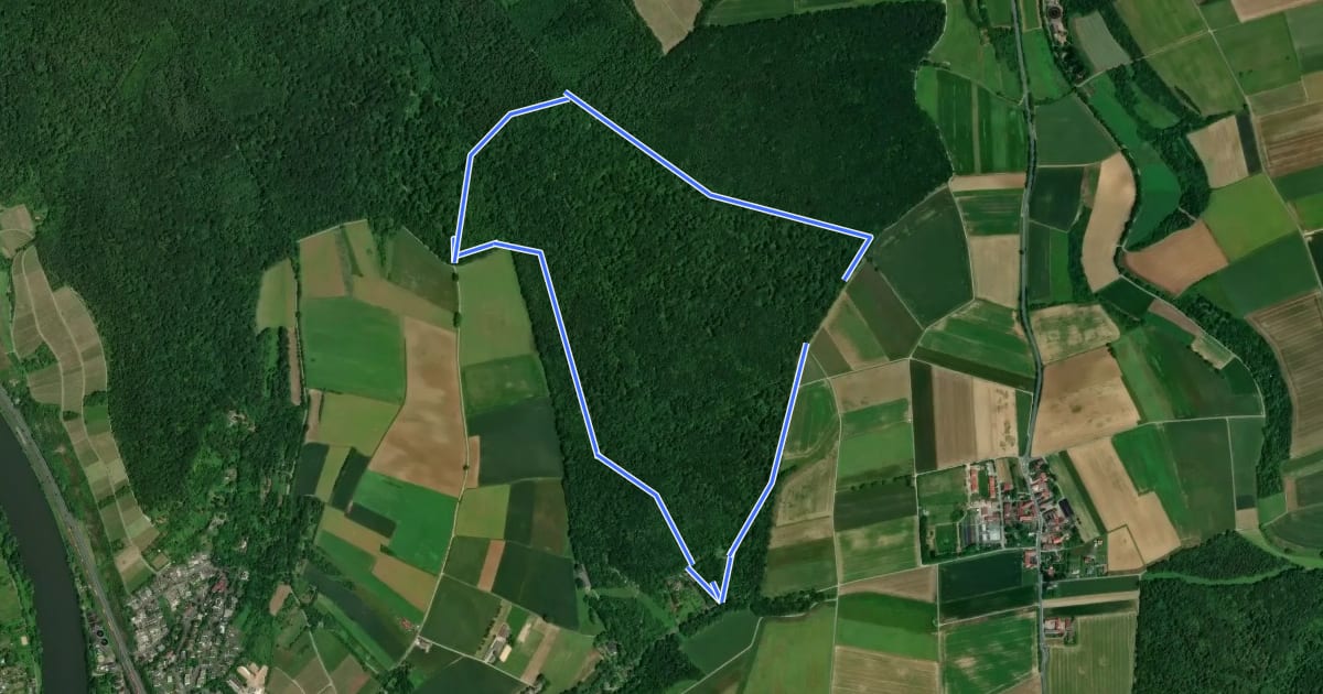 Маршрут Eichhörnchen im Edelmannswald на спутниковом снимке