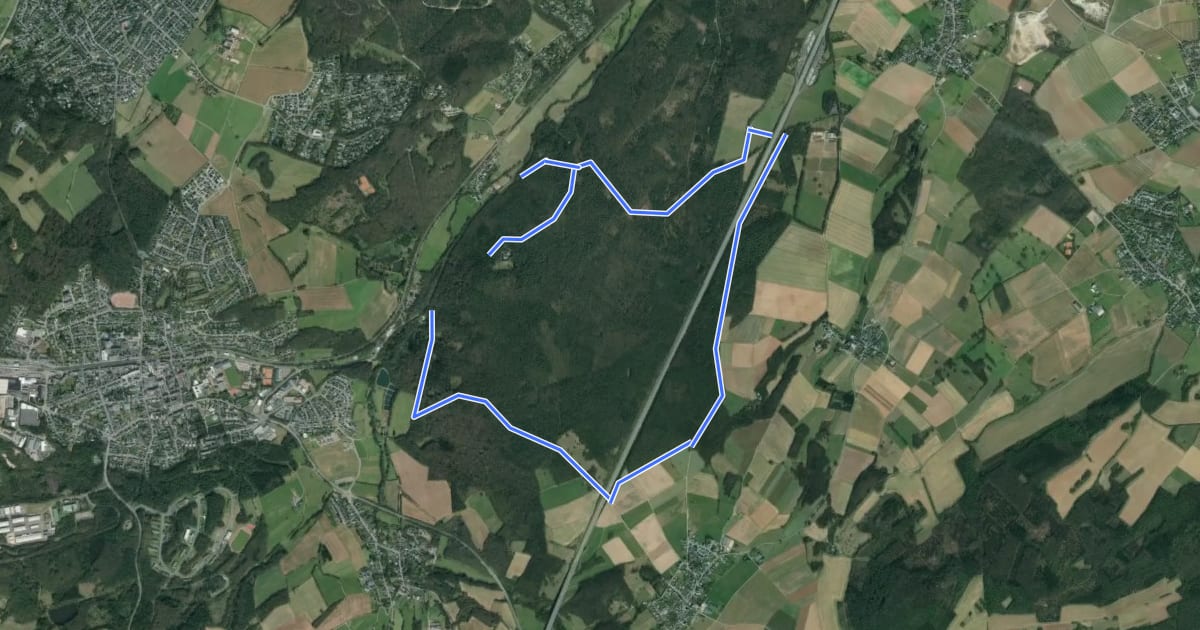 Маршрут EifelSchleife Ab in den Wald! на спутниковом снимке