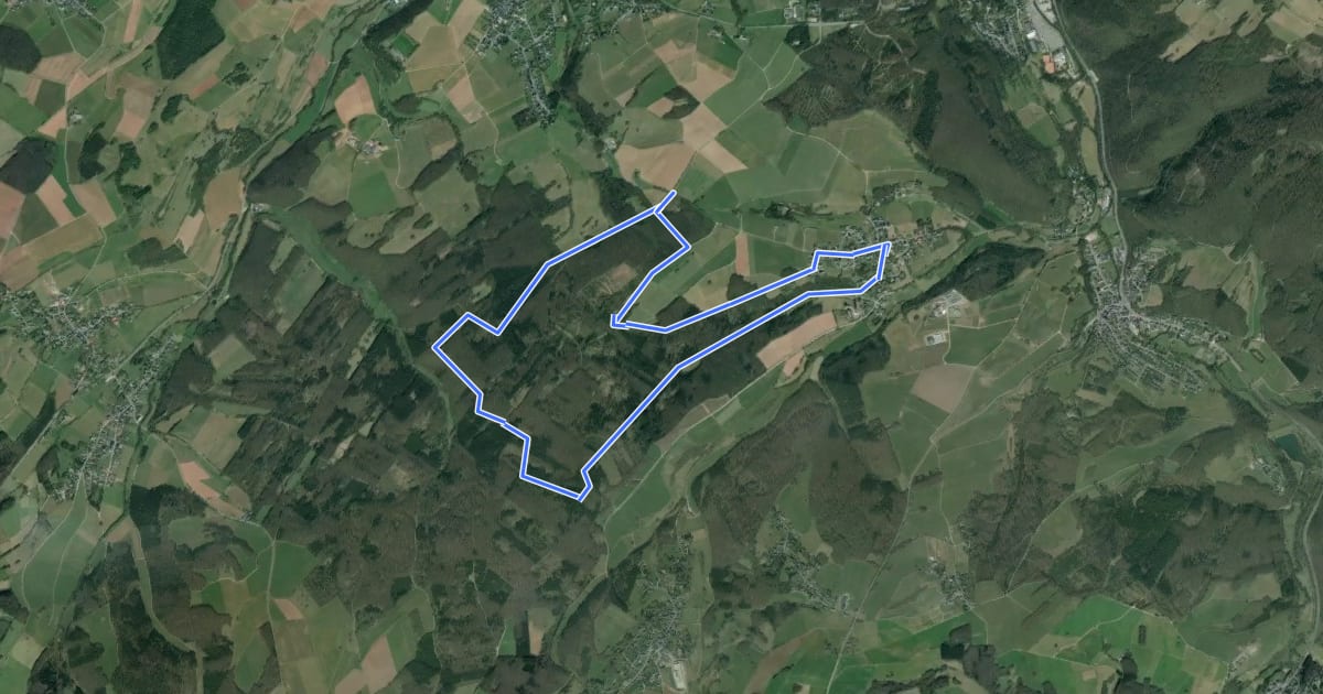 Маршрут EifelSchleife Pfaffenbusch und Gotteswald на спутниковом снимке