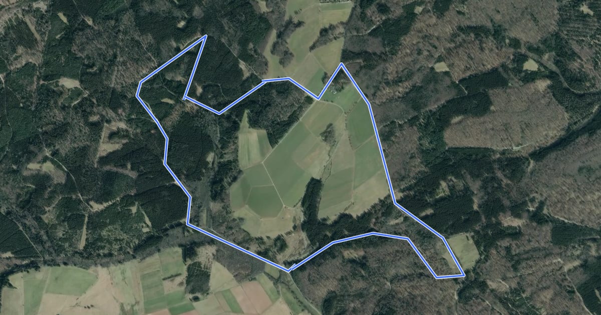 Маршрут EifelSchleife Wo Wälder rauschen на спутниковом снимке