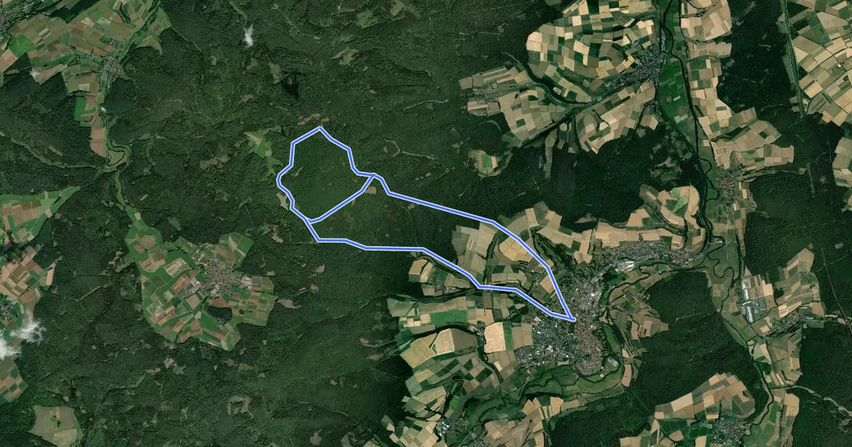 Маршрут Eisenberg Rundweg на спутниковом снимке