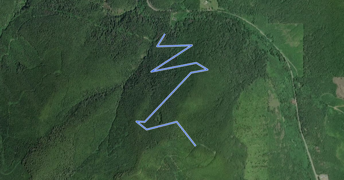 Маршрут Elbo Creek Trail #892.1 на спутниковом снимке