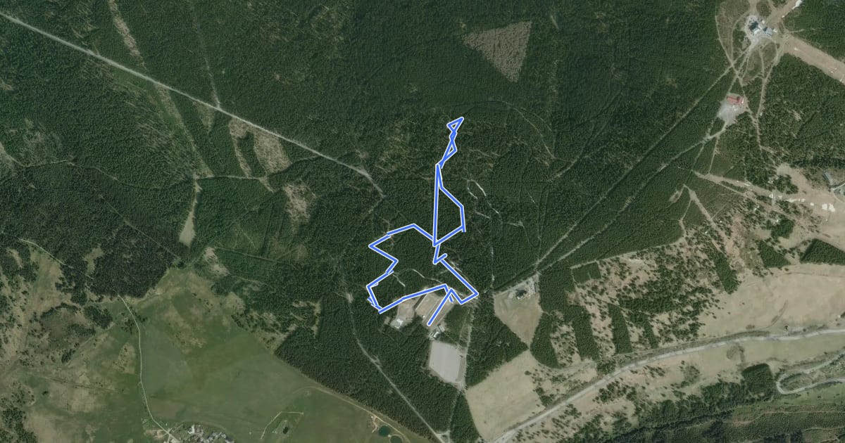 Маршрут Eliteloipe 3,3 km Fichtelberg на спутниковом снимке
