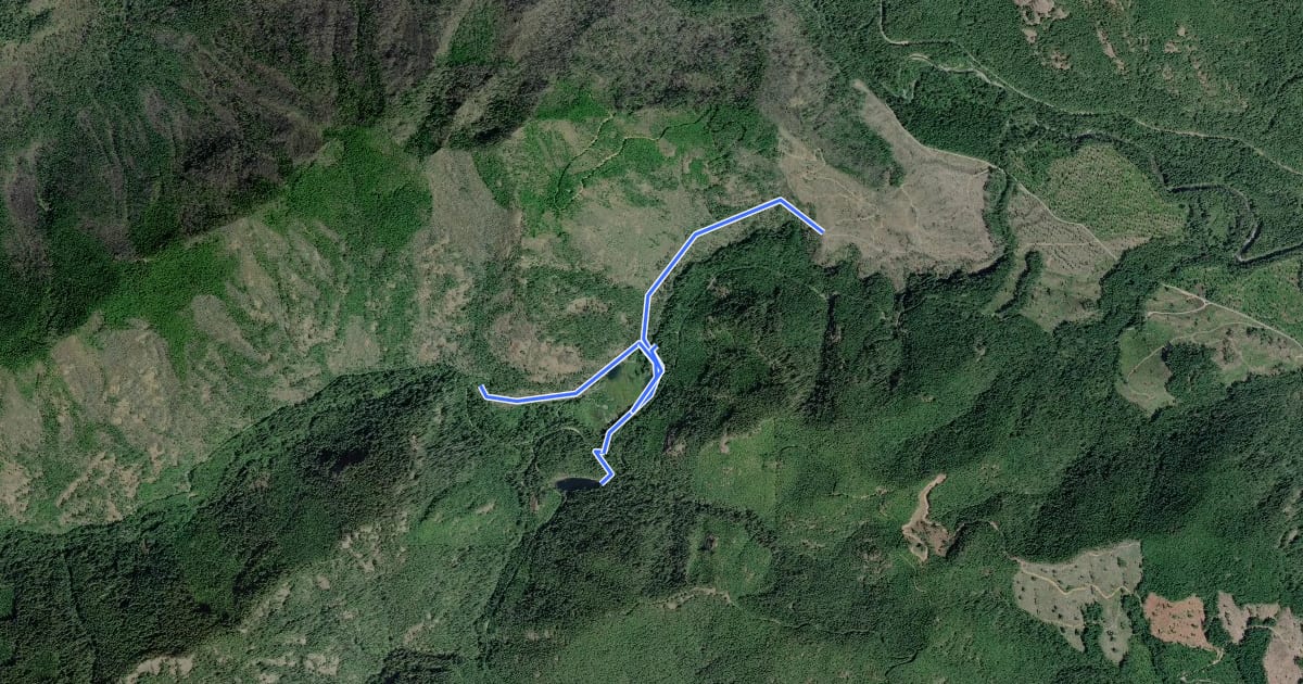 Маршрут Elk Lake Trail #805 на спутниковом снимке