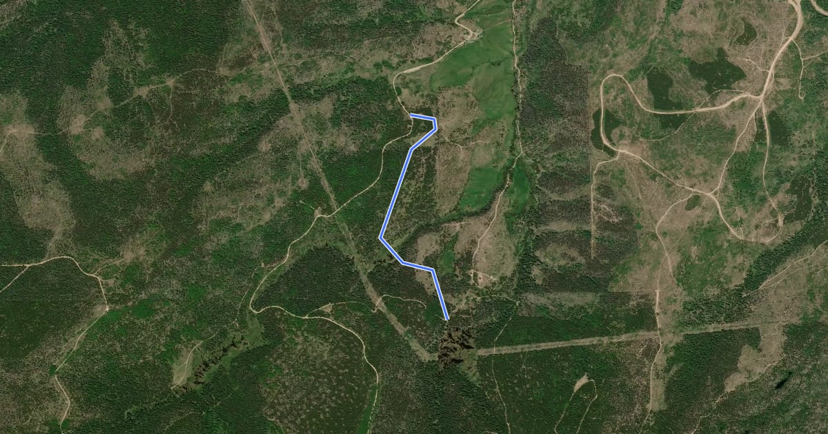 Маршрут Elk Meadow на спутниковом снимке