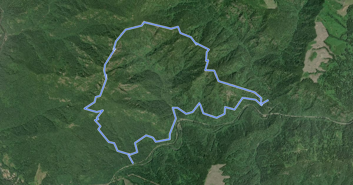 Маршрут Elk Mountain-Kings Mountain Loop на спутниковом снимке