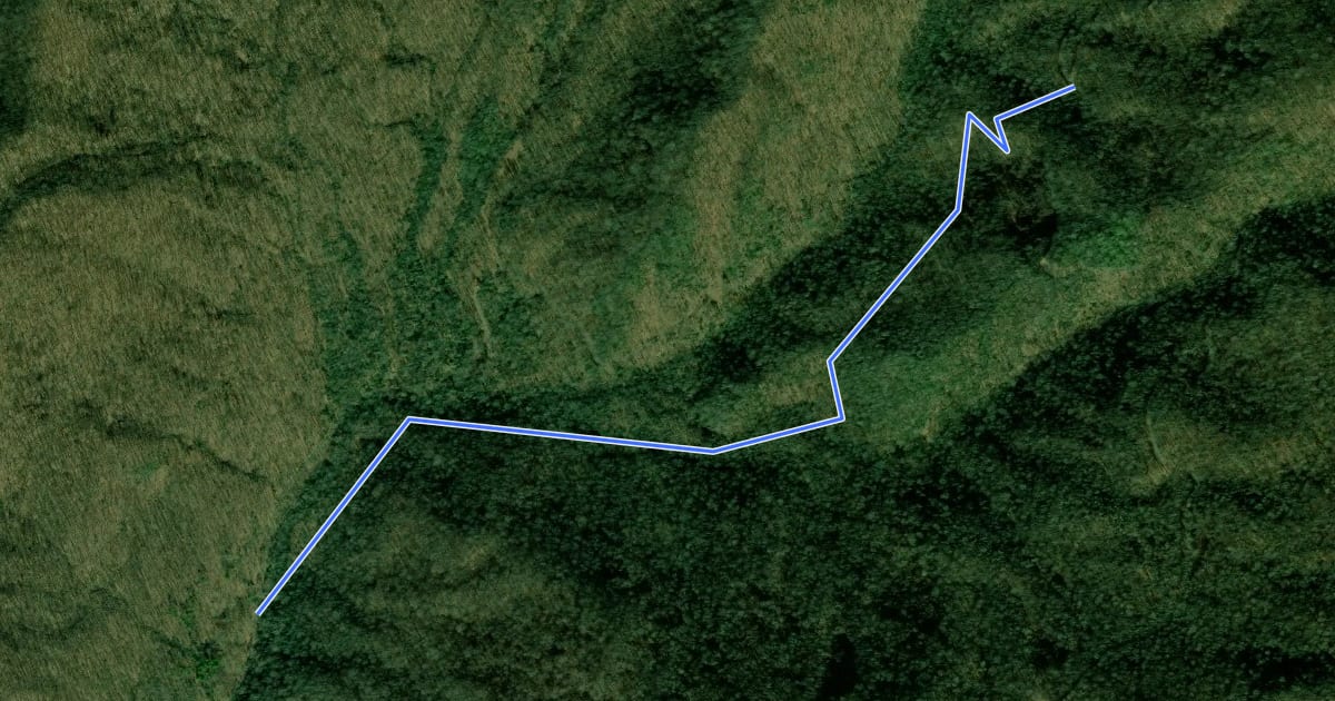 Маршрут Elk Pen Trail на спутниковом снимке