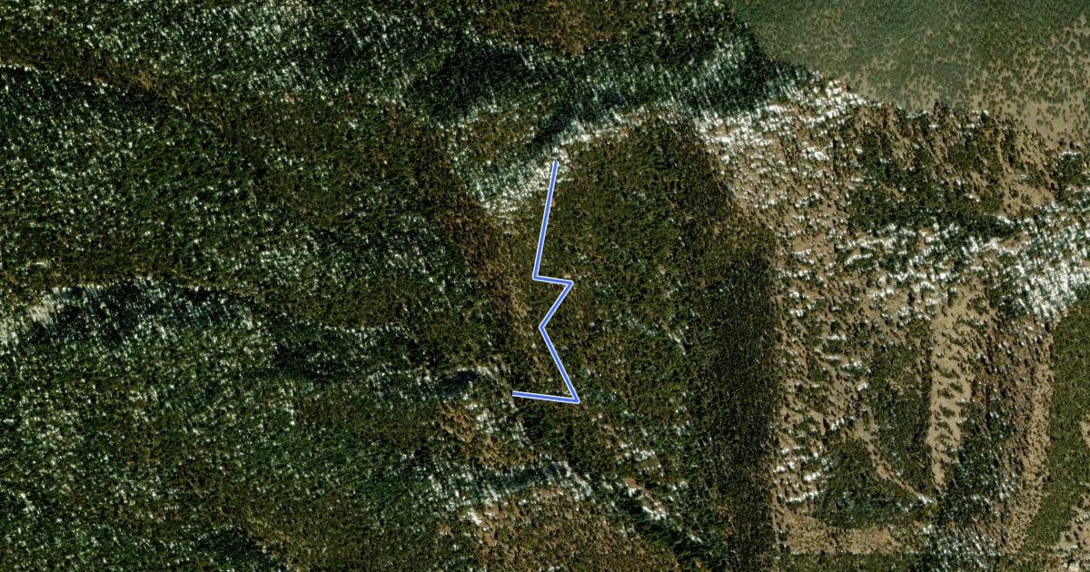 Маршрут Elk Track Trail на спутниковом снимке