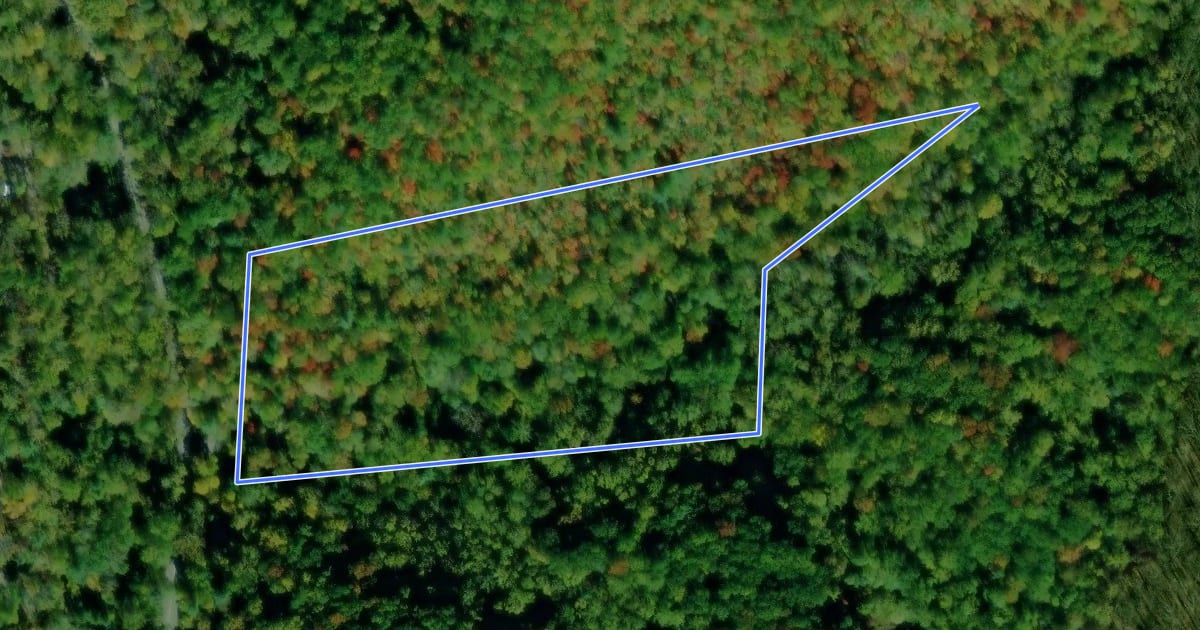 Маршрут Elkmont Nature Trail на спутниковом снимке