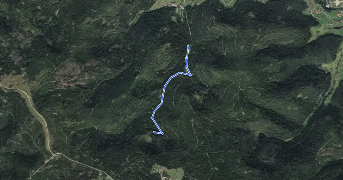 Маршрут Ellbachsee - Gutellbachwegle на спутниковом снимке