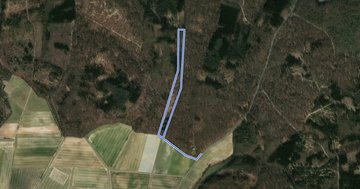Маршрут Elm Rundwanderweg 13 на спутниковом снимке