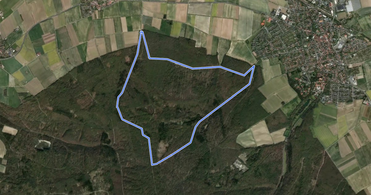 Маршрут Elm Rundwanderweg 23 на спутниковом снимке