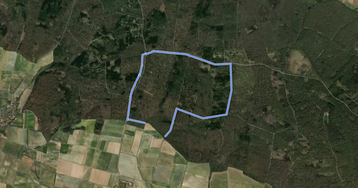 Маршрут Elm Rundwanderweg 8 на спутниковом снимке